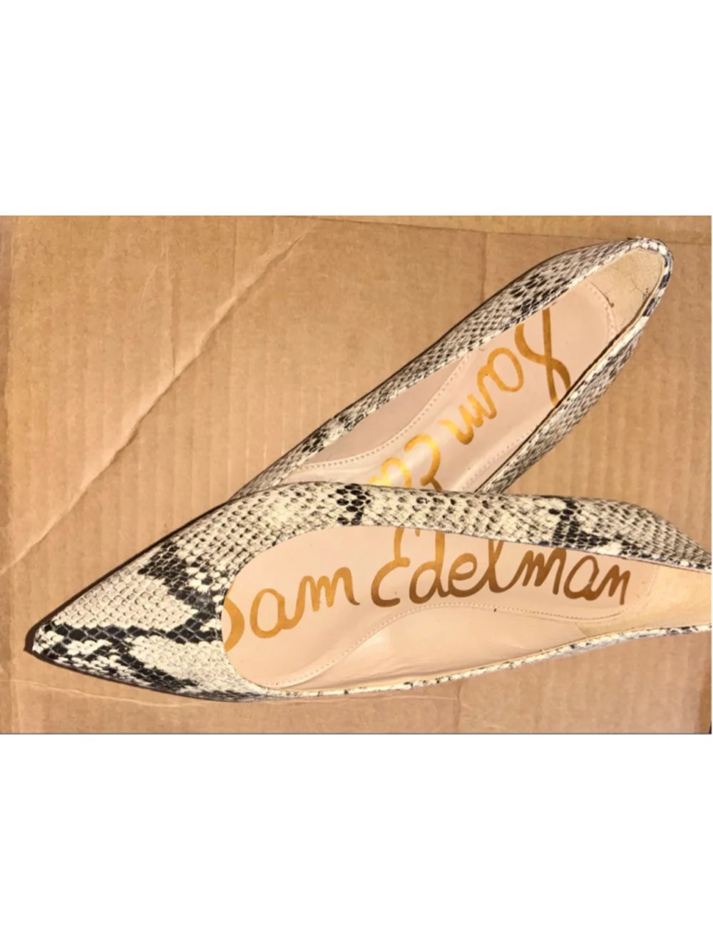 Sam Edelman chic pointed